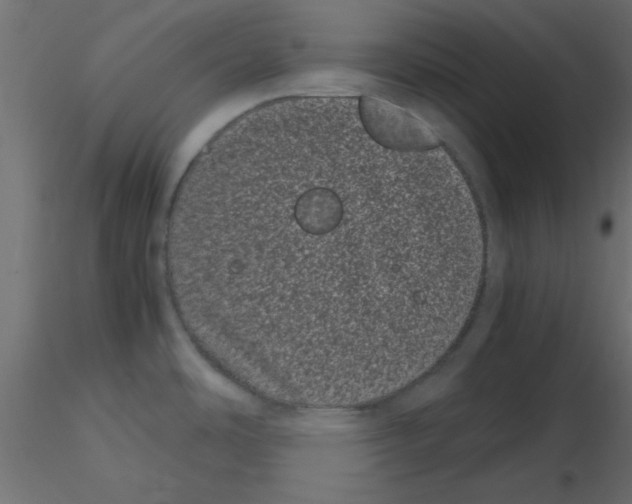 X0000116601486200912312046