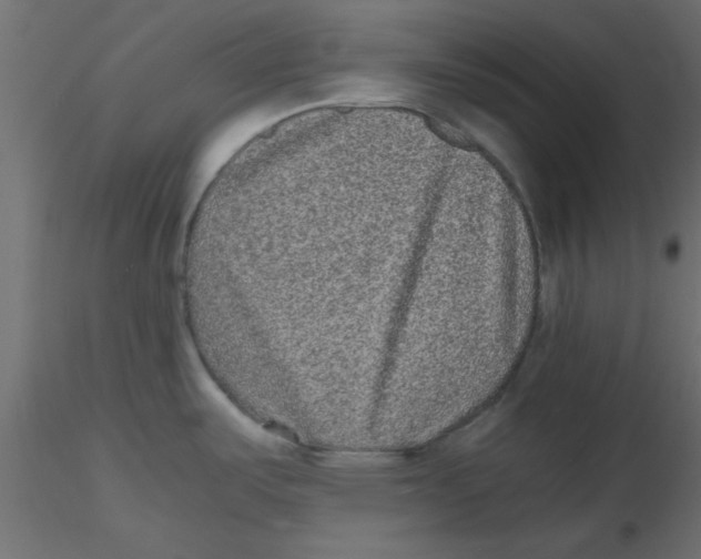 X0000116601487200912312046