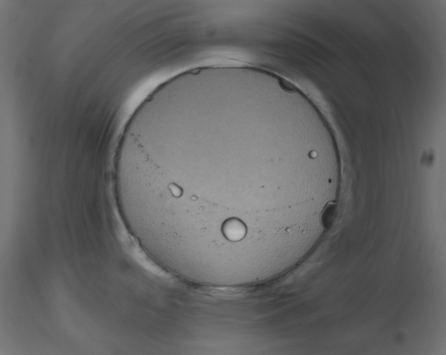 X0000116601488200912312046