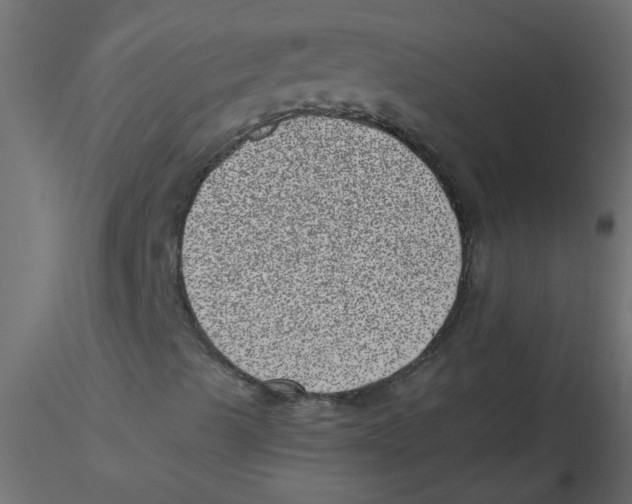 X0000116601489200912312046