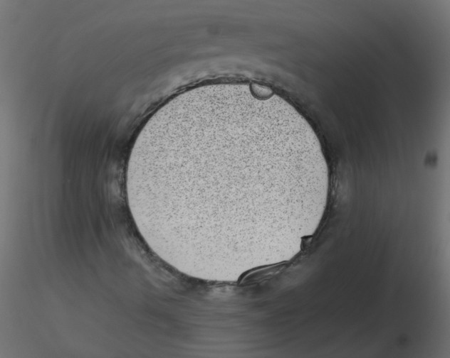 X0000116601490200912312046