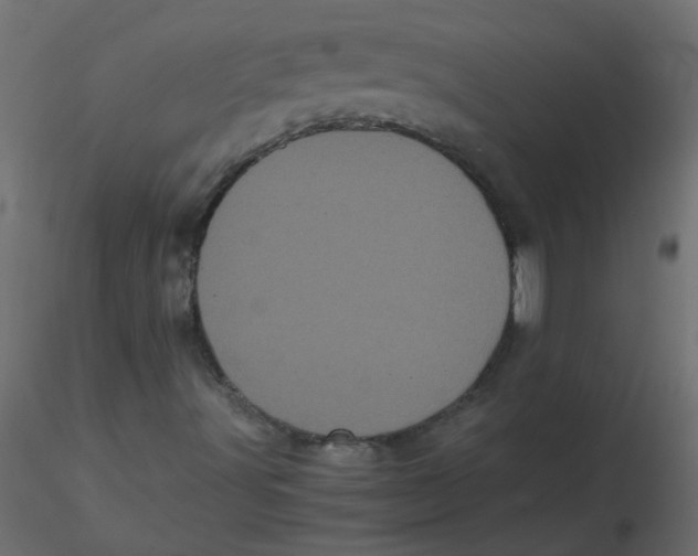 X0000116601491200912312046