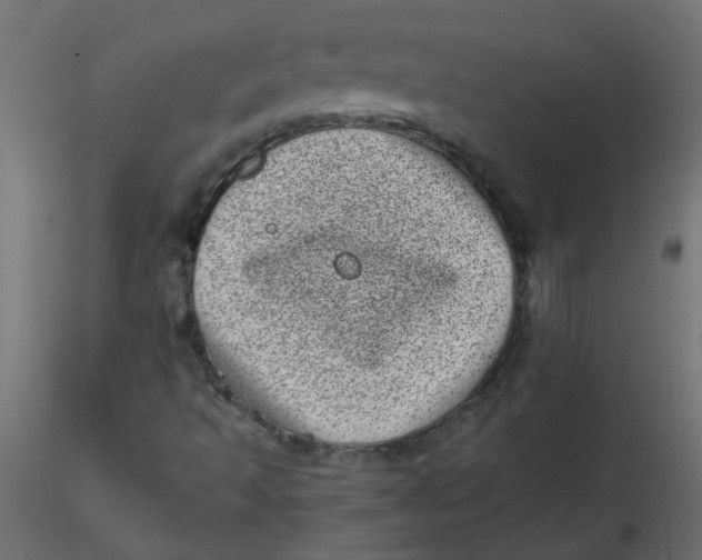 X0000116601493200912312046