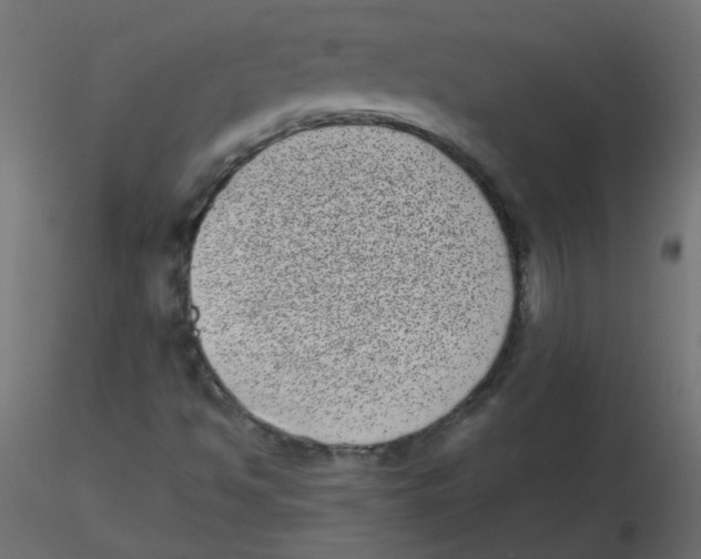 X0000116601494200912312046