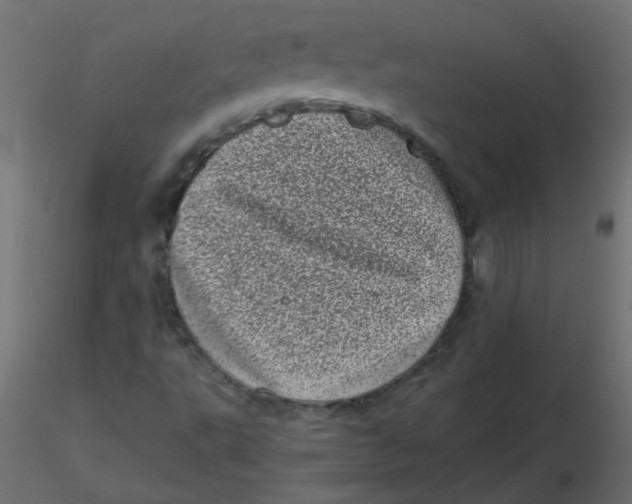 X0000116601495200912312046