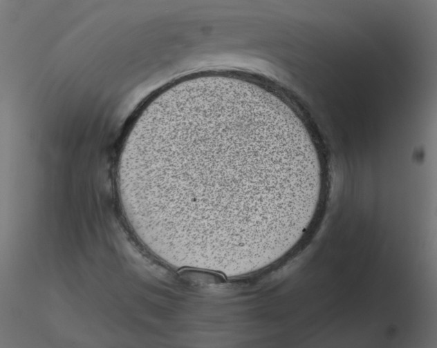 X0000116601497200912312046