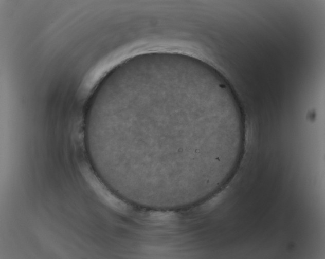 X0000116601498200912312046