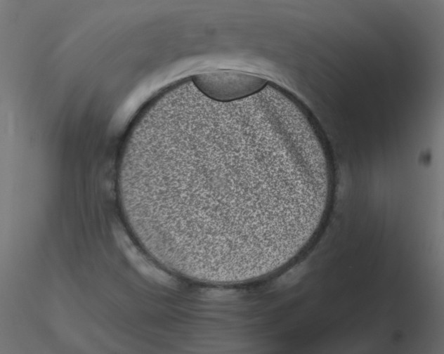 X0000116601499200912312046