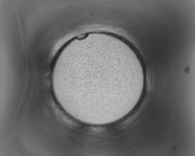 X0000116601501200912312046