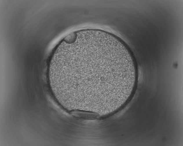 X0000116601502200912312046