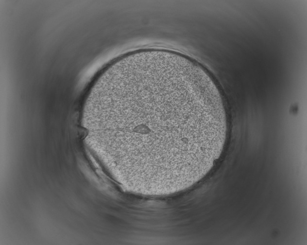 X0000116601503200912312046