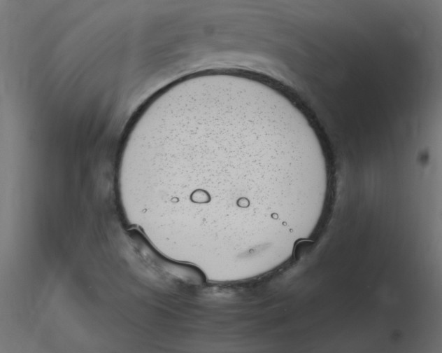 X0000116601505200912312046