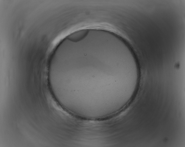 X0000116601506200912312046