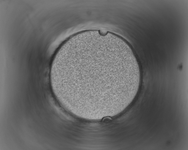 X0000116601507200912312046