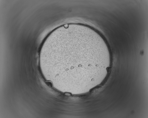 X0000116601509200912312046