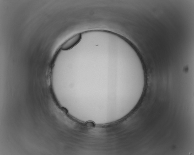 X0000116601510200912312046