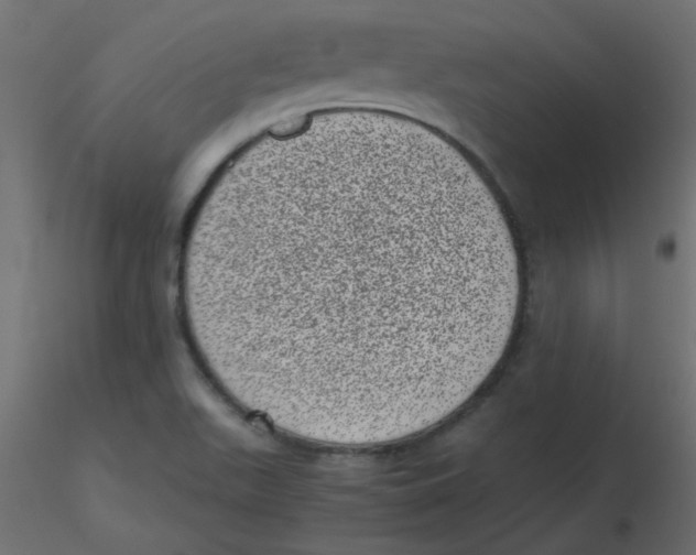 X0000116601511200912312046