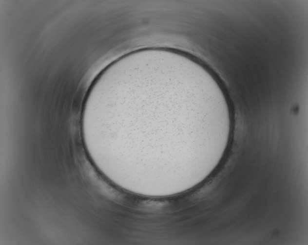 X0000116601513200912312046