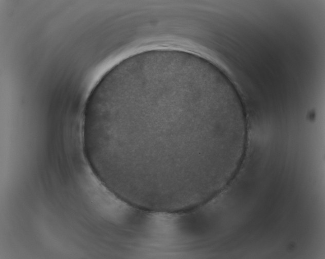 X0000116601514200912312046