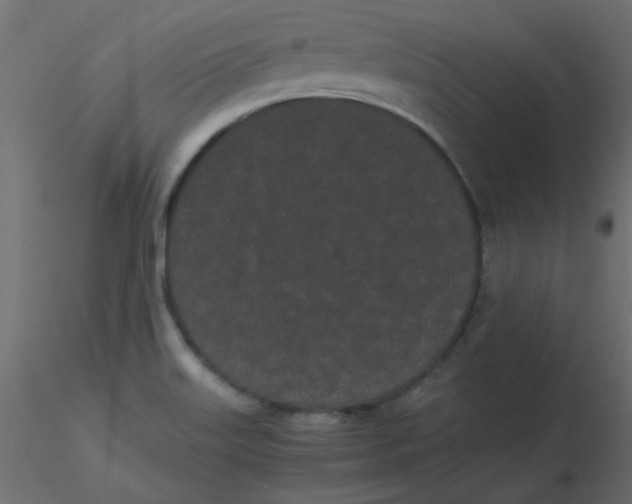 X0000116601515200912312046