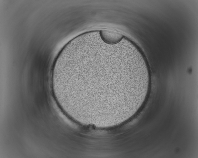 X0000116601517200912312046