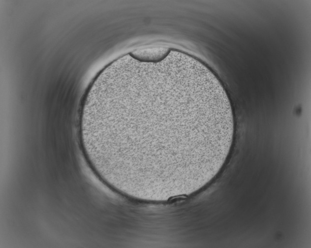 X0000116601518200912312046