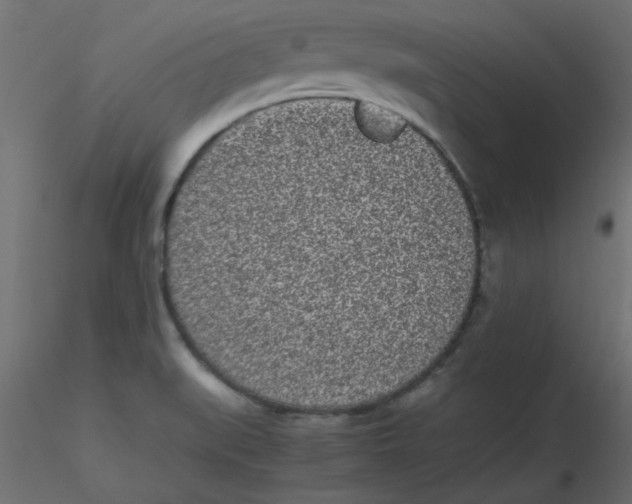 X0000116601519200912312046