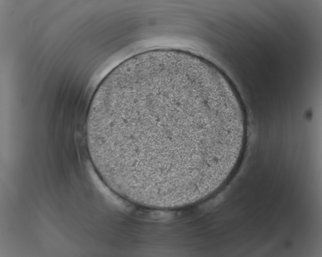 X0000116601521200912312046