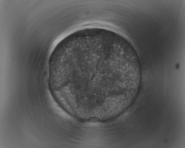 X0000116601522200912312046