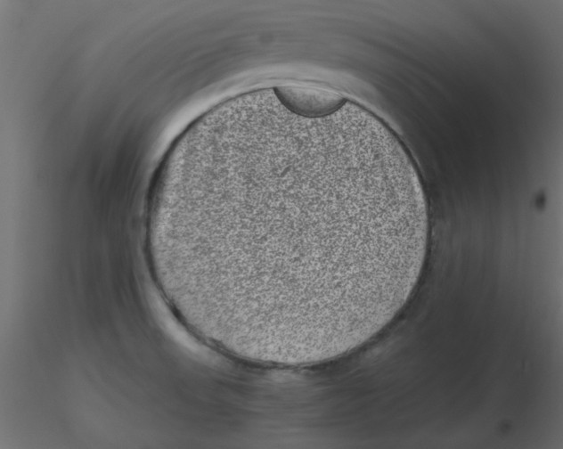 X0000116601523200912312046