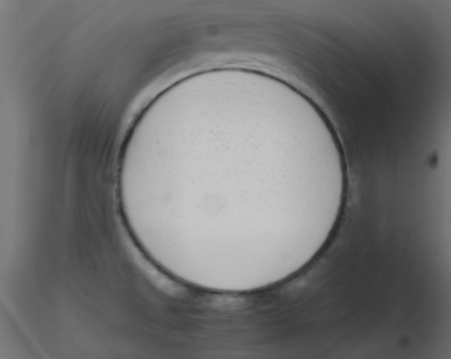 X0000116601525200912312046