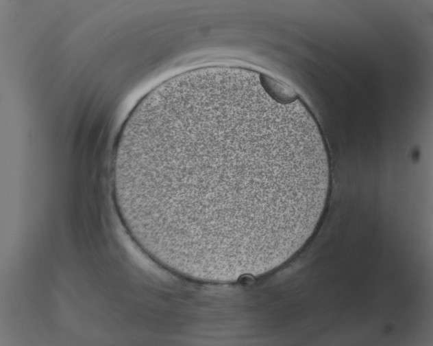 X0000116601526200912312046