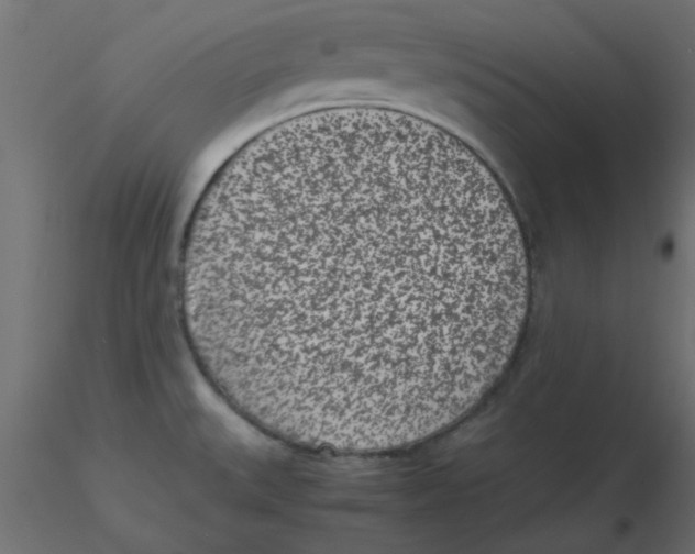 X0000116601527200912312046