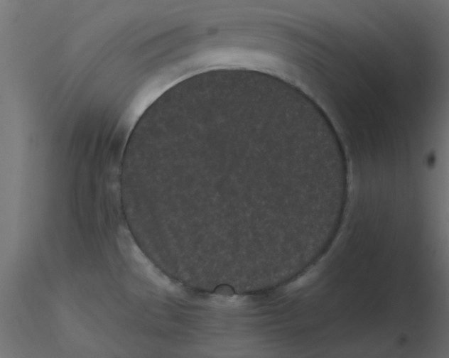 X0000116601529200912312046