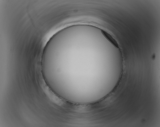 X0000116601530200912312046