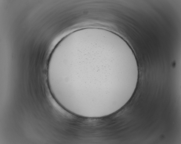 X0000116601531200912312046