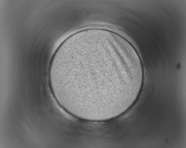 X0000116601533200912312046