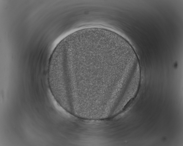 X0000116601534200912312046