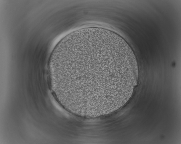 X0000116601535200912312046