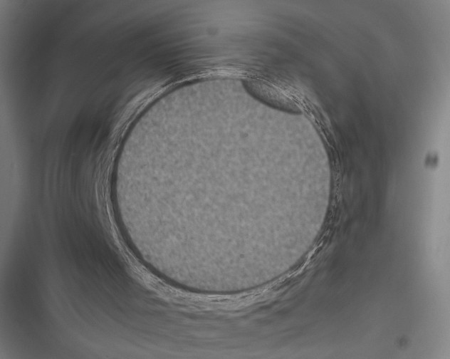 X0000116600001201001081159