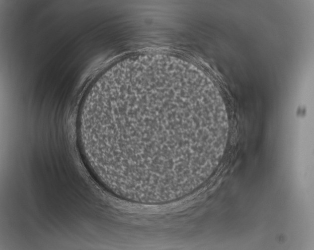 X0000116600002201001081159