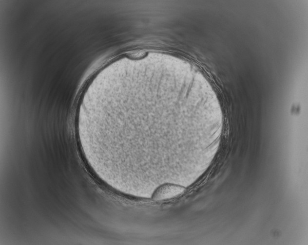 X0000116600004201001081159