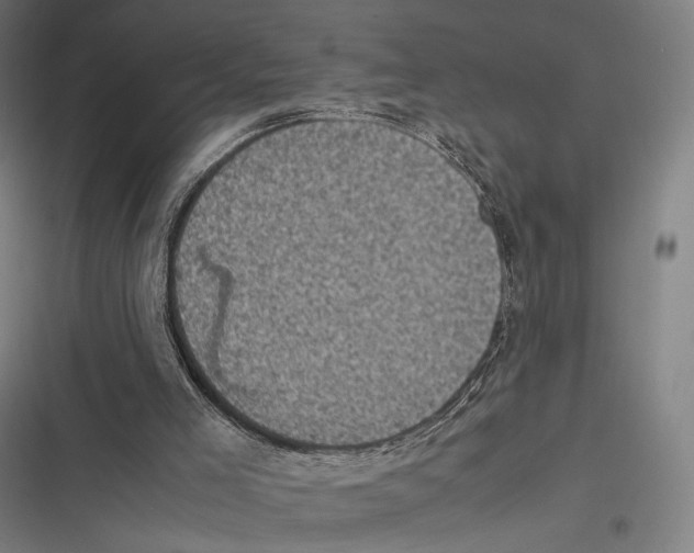 X0000116600005201001081159