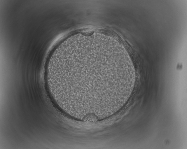 X0000116600006201001081159