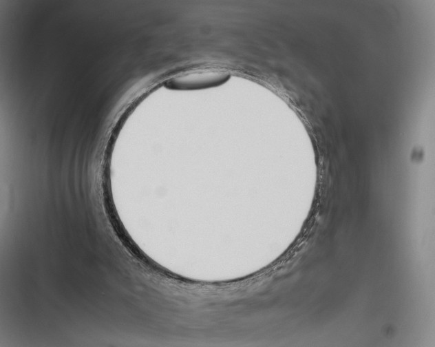 X0000116600007201001081159