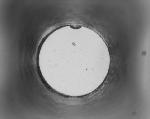 X0000116600008201001081159
