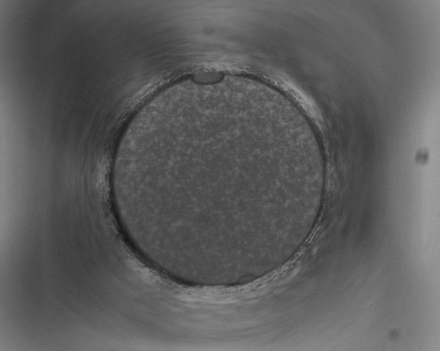 X0000116600009201001081159