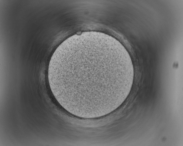 X0000116600010201001081159