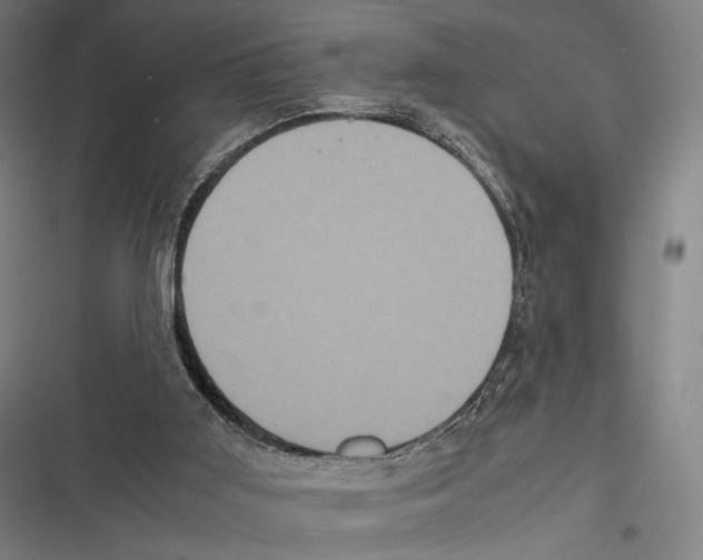 X0000116600011201001081159
