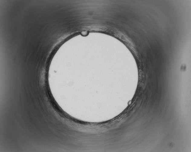 X0000116600012201001081159